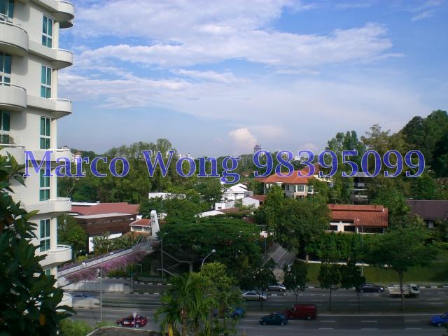 Holland Peak (D10), Condominium #85483052